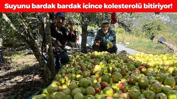 Kış aylarının favorisi, kilosu 50 TLden kapış kapış satılıyor Suyunu sıkıp bardak bardak içenin kolesterol seviyeleri anında yere çakılıyor, doğanın C vitamini kralı olarak biliniyor