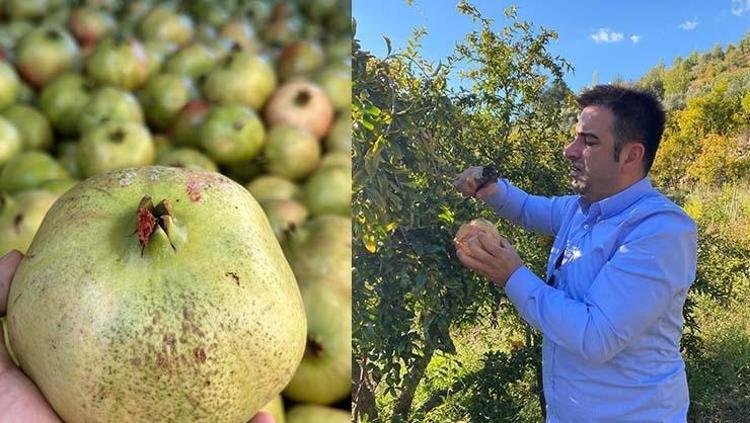 ÜRETİCİLER VERİMDEN MEMNUN