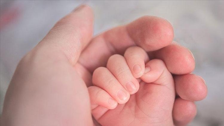 Doğum ayınız sizi dahiler kulübüne sokabilir Zamanlama her şeydir: Hem zeki hem çevik oluyorlar