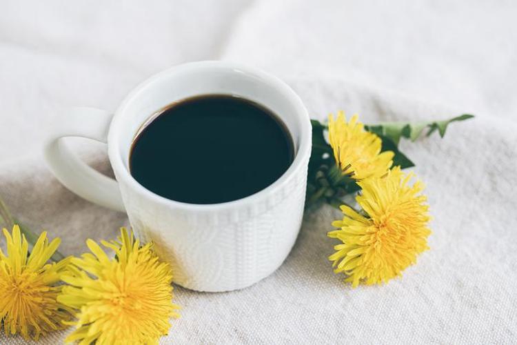 KARAHİNDİBA KAHVESİ NASIL TÜKETİLMELİ