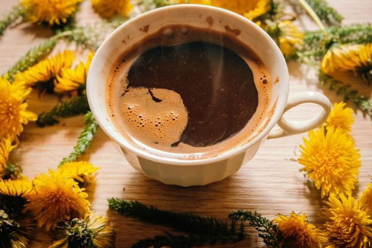 DOĞAL İDRAR SÖKTÜRÜCÜDÜR