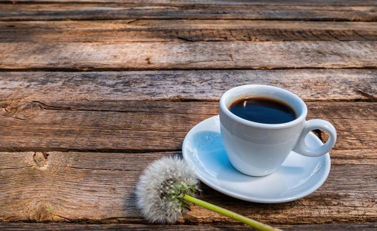 KARACİĞERİ DESTEKLER