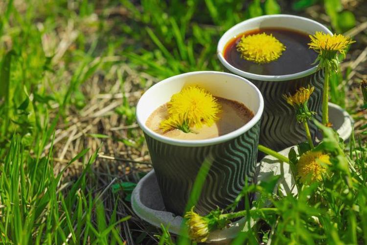 Bardak bardak içince yağları mum gibi eritiyor Karaciğerin yağ bağlamasını engelleyip bel, basen ve göbeği yok ediyor