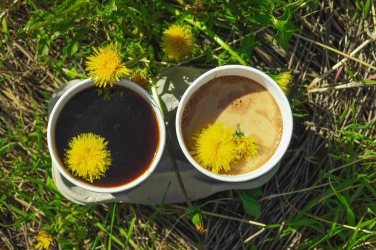 Bardak bardak içince yağları mum gibi eritiyor Karaciğerin yağ bağlamasını engelleyip bel, basen ve göbeği yok ediyor