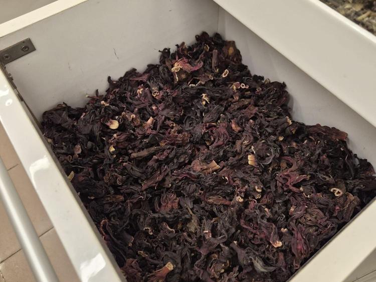 Kış aylarının şifa deposu Öksürük, balgam ve hırıltının kökünü kazıyor: İster çayını yapın ister kaşık kaşık yiyin