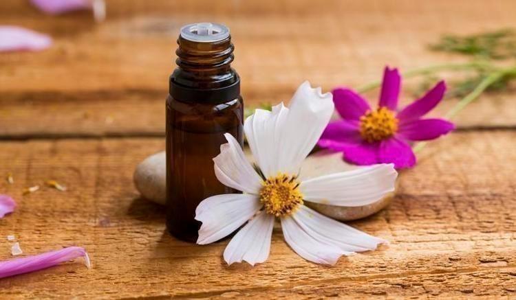 CİLDİ NEMLENDİRİR VE BESLER