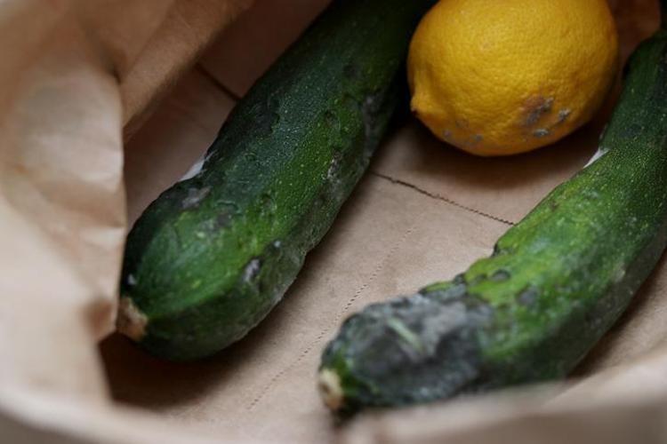 DOĞRU SAKLAMA KAPLARI KULLANIN