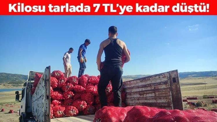 Kilosu 7 TLye kadar düştü Tıkalı damarları yağ çözücü gibi açıp boğazdan mikrobu söküp alıyor Kan şekerini terazi gibi dengeliyor