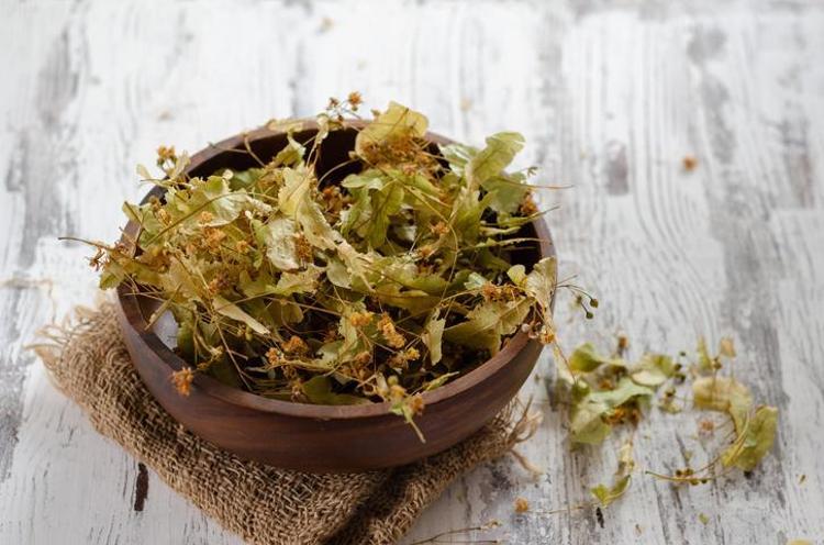 IHLAMUR KAYNATILIR MI, DEMLENİR Mİ