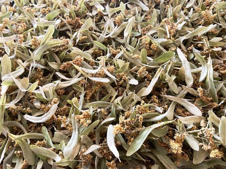 SİNİR SİSTEMİNİ SAKİNLEŞTİRİR