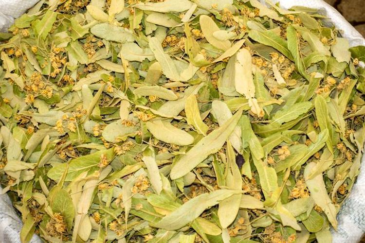 BONUS: IHLAMURUN İÇİNE EKLEYEREK FAYDASINI ARTIRIN