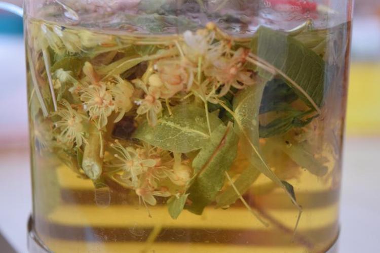 Canan Karatay uyardı Kilosu 500 TLden satılıyor, ıhlamuru böyle içen yandı Meğer bu şekilde yapınca faydası ve lezzeti 10 kat artıyormuş