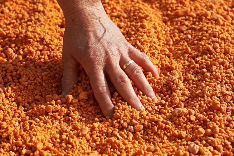 Tarhana hamurunu yoğururken 1 parça ekleyin Lezzetini 10 kat artırıp faydasını uçuruyor