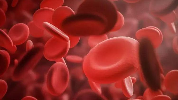 Pekmezle birlikte sakın tüketmeyin Demir değerlerini sıfırlıyor: Kalsiyum deposunu boşaltıyor