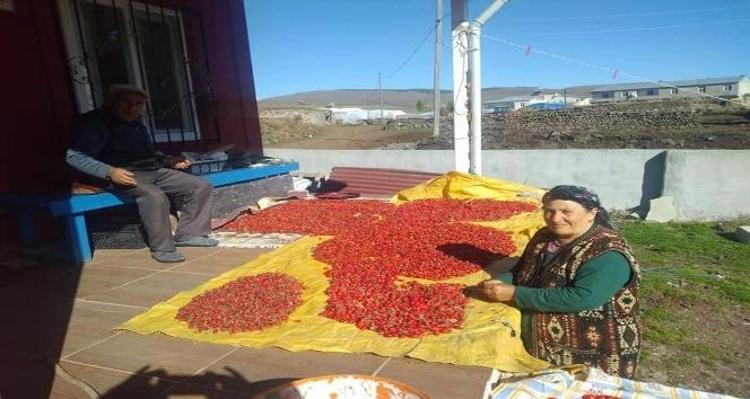 Yozgatlıların olmazsa olmazı Üşüten günlerin iç ısıtan lezzeti: Çayı, çorbası, marmelatı yapılıyor, 70 derdin şifası