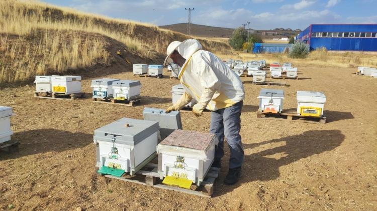 İnsan ayağının değmediği bölgede ürettiği ürünle siparişlere yetişemiyor