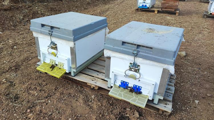 BALDAN YİYENLER MEMNUN KALIYOR, TAVSİYELERLE SATIŞ YAPIYORUM