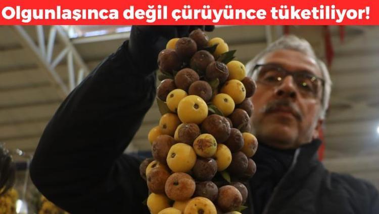 2 yılda bir yetişiyor Olgunlaşınca değil çürüyünce tüketiliyor: Kış aylarının şifası