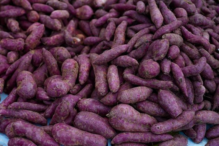 KAN ŞEKERİNİ DENGELİYOR