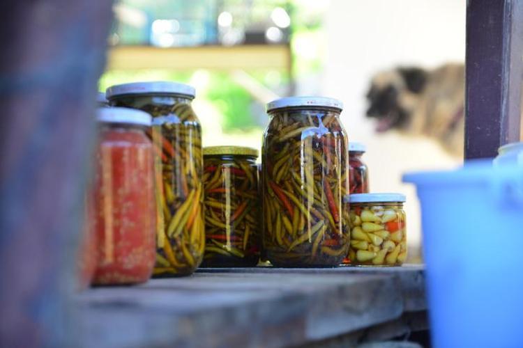 BAĞIRSAK SAĞLIĞINI DESTEKLER