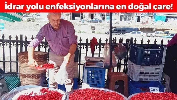 Faydasını duyan torba torba alıyor, kilosu 50 TL İdrar yolu enfeksiyonlarının kökünü kazıyıp demir ve magnezyum depolarını zirveye taşıyor