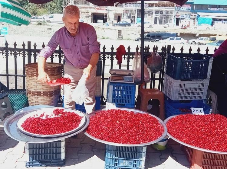 KIZILCIĞIN FAYDALARI NELERDİR