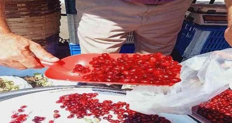 İDRAR YOLU ENFEKSİYONLARINA KARŞI KORUYUCUDUR