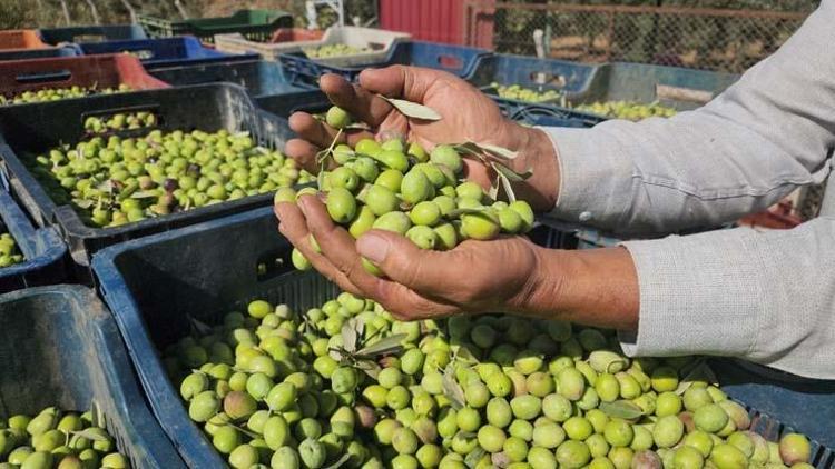 KALP SAĞLIĞINI KORUR