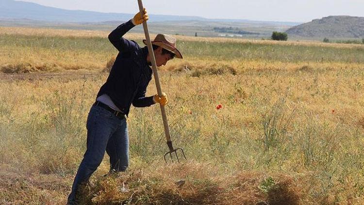 TARIMSAL DESTEK ÖDEMELERİ YATTI MI