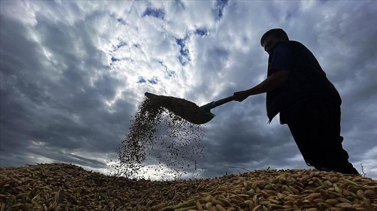 EKİM 2025 TARIMSAL DESTEK ÖDEMESİ NE ZAMAN YATACAK ÇİFTÇİ DESTEK ÖDEMESİ YATTI MI