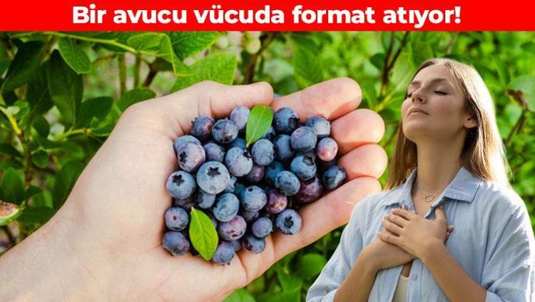 Damarların içini foşur foşur temizliyor Kalbi adeta kaya gibi güçlendiriyor
