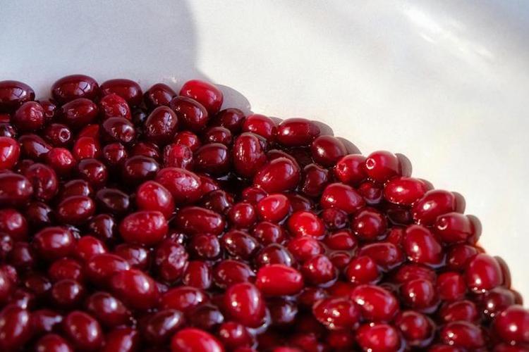 1 litre suda 15 dakika kaynatın Prof. Dr. Osman Müftüoğlu öneriyor, iltihabı vücuttan kovuyor