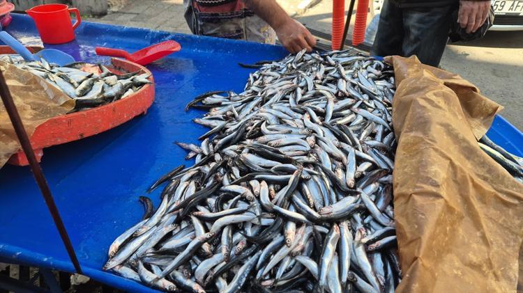 Tekirdağda kilosu 150 TLye düştü Talep fazla, satışlar yolunda gidiyor