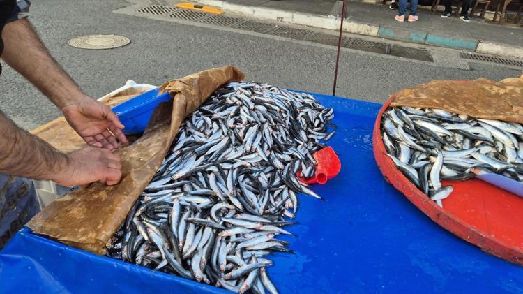 Tekirdağda kilosu 150 TLye düştü Talep fazla, satışlar yolunda gidiyor