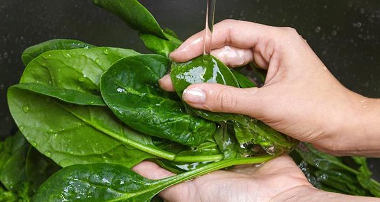 Canan Karatayın kitabından çıktı Dünyanın en zengin folik asit kaynağı: Kan yapıp demiri zirveye çıkarıyor