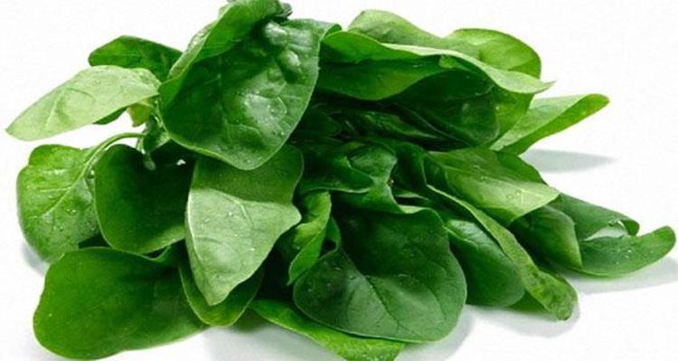 Canan Karatayın kitabından çıktı Dünyanın en zengin folik asit kaynağı: Kan yapıp demiri zirveye çıkarıyor