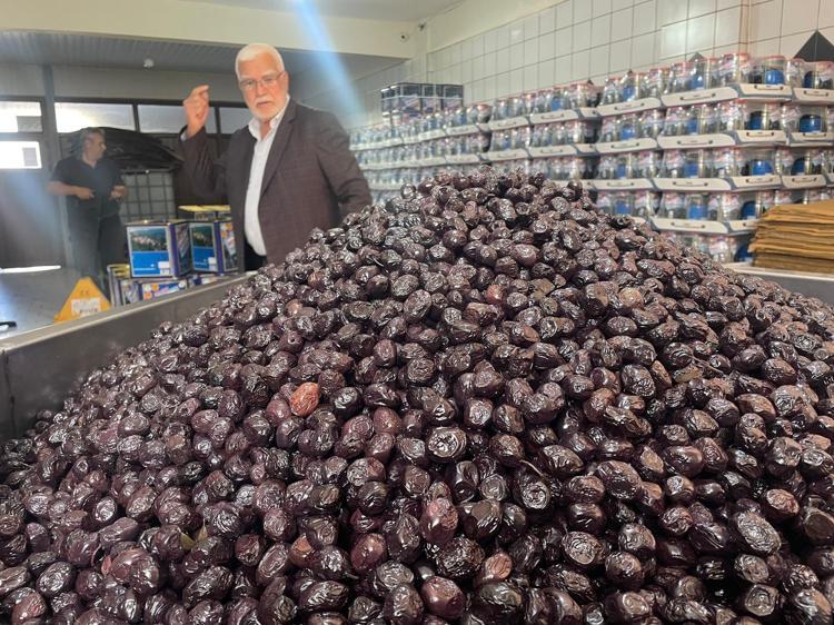 Katırlı Dağlarından İsviçre sofralarına taşınıyor Kahvaltıların vazgeçilmezi, günde 5 tane yiyince tıkalı damarları yağ çözücü gibi açıyor