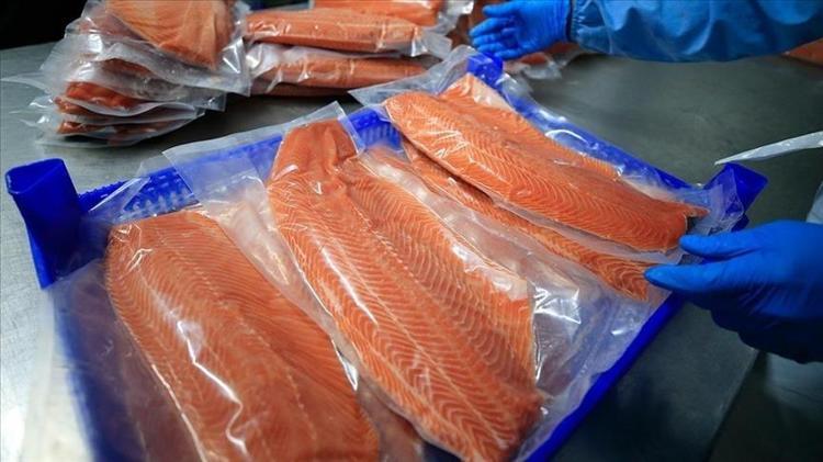 Balıkların en faydalısı Defne yaprağı ve limonla pişirin, lezzeti 10 kat artıyor