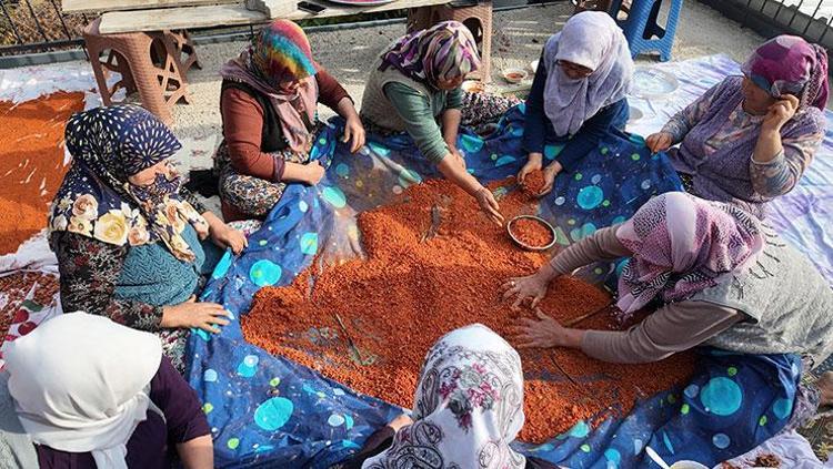 Manisada hummalı çalışma 16 çeşit malzemeyle hazırlanıyor, 16 gün yoğuruluyor: Tam bir şifa deposu