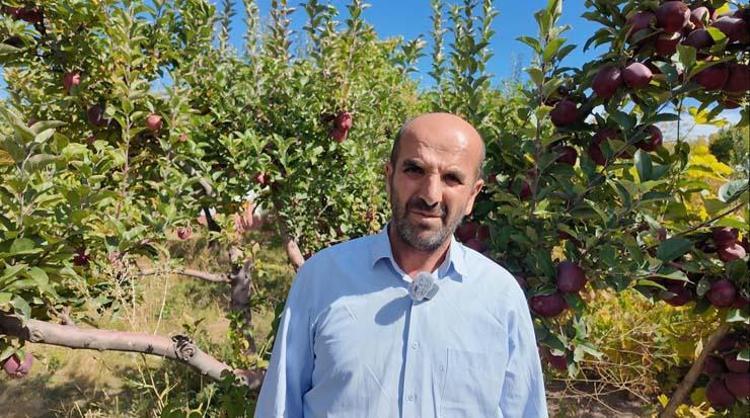 BESİN DEĞERLERİ YÜKSEKTİR VE ANTİOKSİDAN DEPOSUDUR