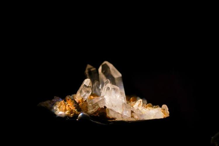 SİTRİNİ GÜNLÜK HAYATTA NASIL KULLANABİLİRSİNİZ