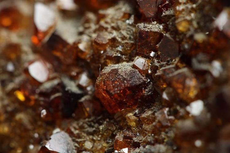 Para taşı olarak da biliniyor Buna sahip olan zenginliğin kapılarını aralıyor