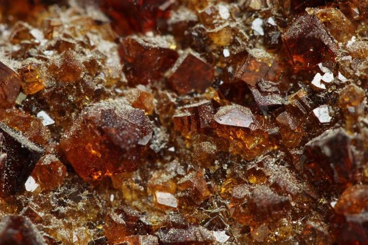 Para taşı olarak da biliniyor Buna sahip olan zenginliğin kapılarını aralıyor