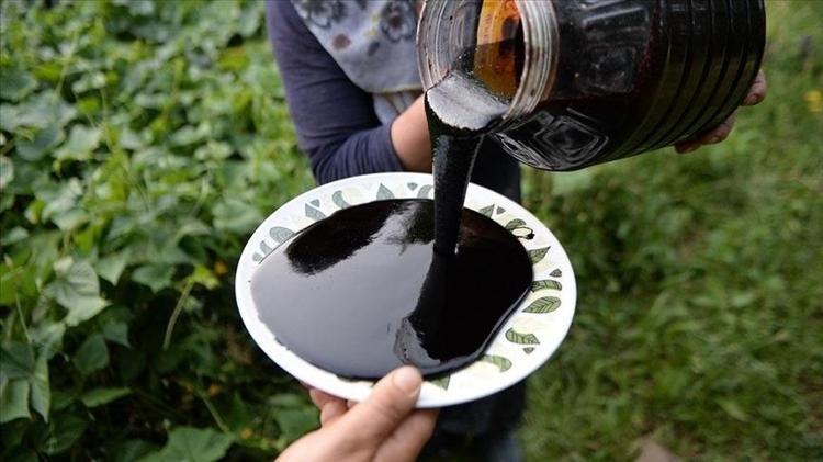 KAN ŞEKERİNİ DENGLER VE KALBİ KORUR