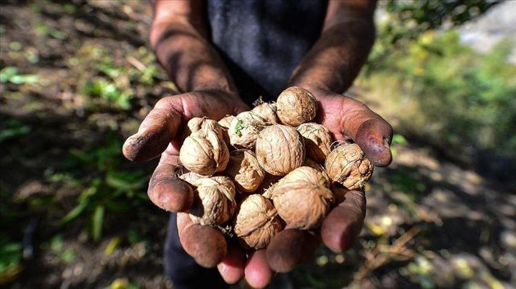 B12 eksikliğine iyi geliyor Unutkanlığı minimuma indirmek için uygulanabilecek küçük ama etkili yöntemler