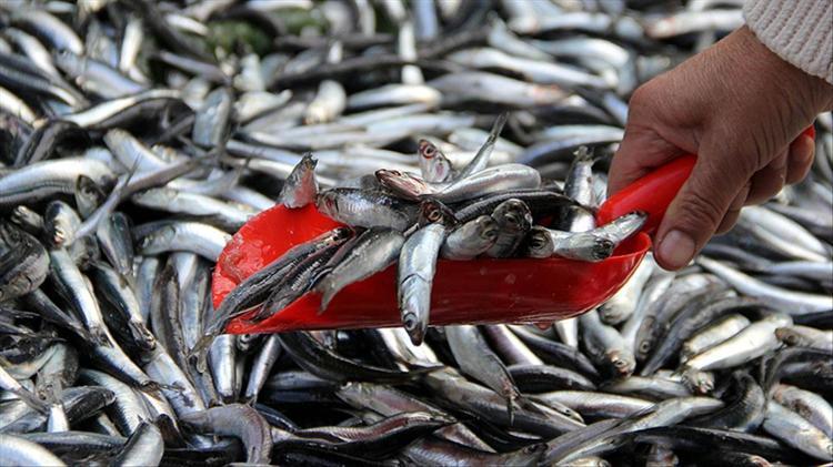 B12 eksikliğine iyi geliyor Unutkanlığı minimuma indirmek için uygulanabilecek küçük ama etkili yöntemler