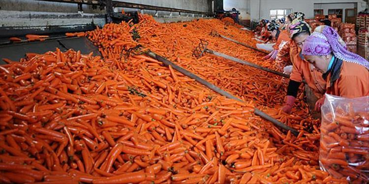 Cildi güzel olsun isteyenler bunu denemeli Dıştan değil içten bakım, vücudu retinole doyuruyor