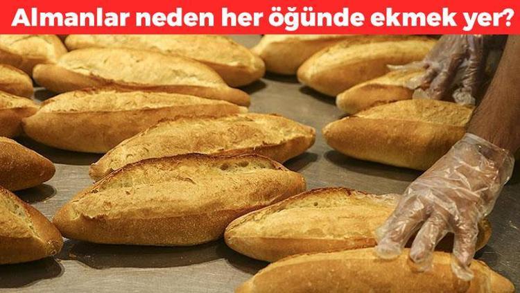 Almanlar neden her öğünde ekmek yer Şaşırtan neden
