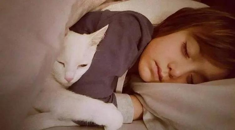 Gamze Özçelik ve eşi Reşhad Strikin aşk pozuna beğeni yağdı