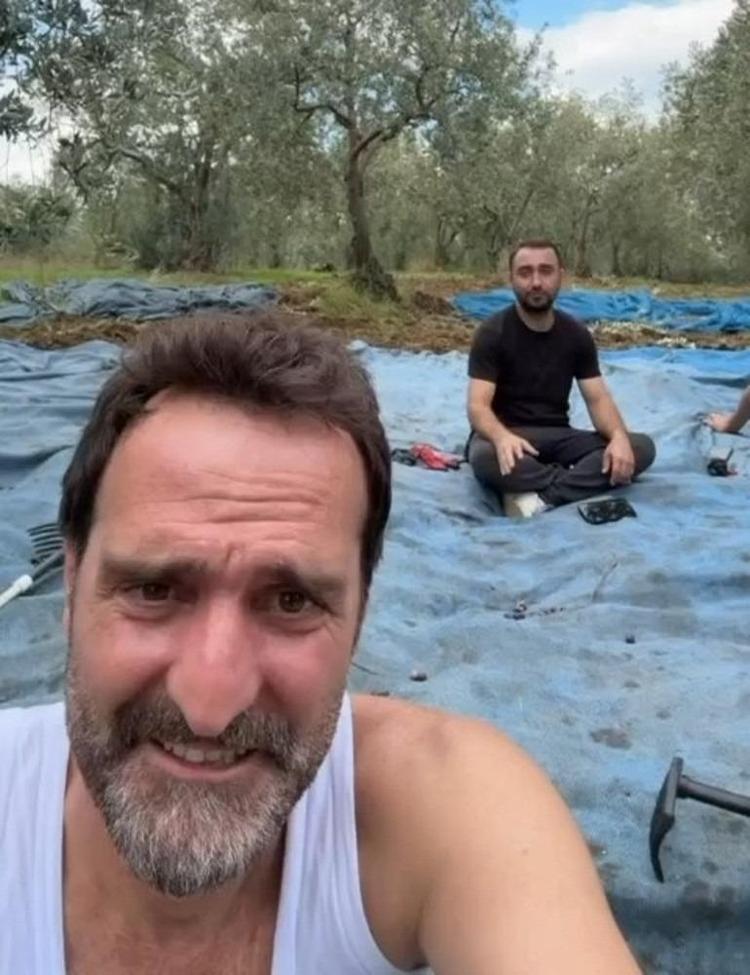 İstanbuldan kaçan kaçana Ünlü oyuncu Timur Acar, İznikte arsa aldı İlk zeytin hasadını yaptı